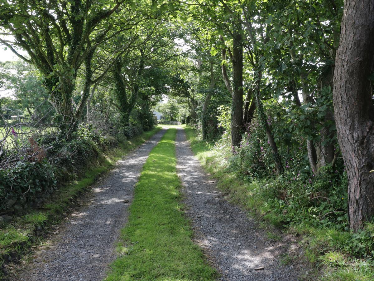 Bodegri Cottage Llanfflewyn Экстерьер фото